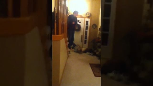 Fat Jogger! смотреть онлайн