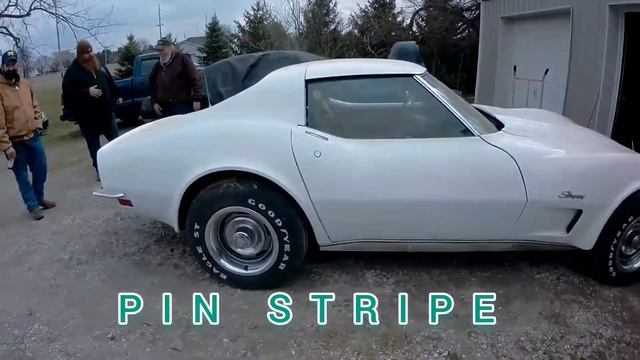 Corvette Stingray 73 (TruckerSteve's Garage) #corvette #Corvettesting #73corvette #barnfinds смотреть онлайн