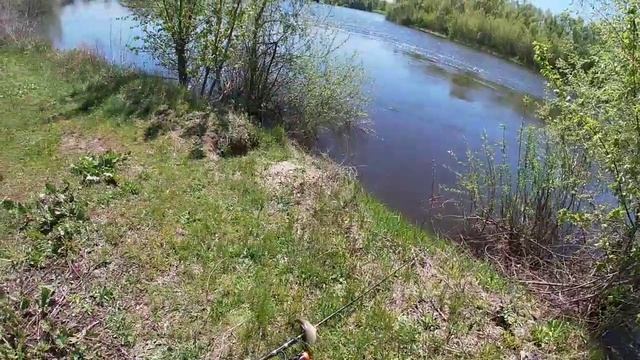 Как ловить ЖЕРЕХА НА КАСТМАСТЕР?Мой опыт.Ловля голавля и жереха на реке ДЕСНА 2021! смотреть онлайн