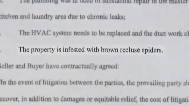 5000 пауков выселили семью из недавно купленного дома смотреть онлайн