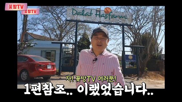 베트남 달랏 극락조 꽃에 왜 망을 씌워 놓았을까? 극락조 꽃 🌷 조화 릉호와 꽃집 탐방 смотреть онлайн
