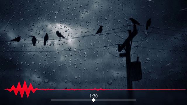 MATRANG  Молодость