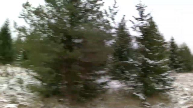 17 .11. 2023. Охота с гончими. смотреть онлайн