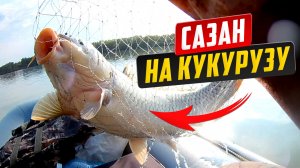 ШОК ! Попал на бешеный жор САЗАНА !