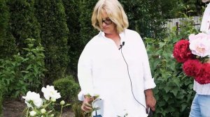 ТОП-10 раннецветущих пионов; травянистые, молочноцветковые, межвидовые гибриды