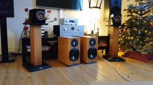 JVC SP-EXP1 Wood  CONE Audiophile Test