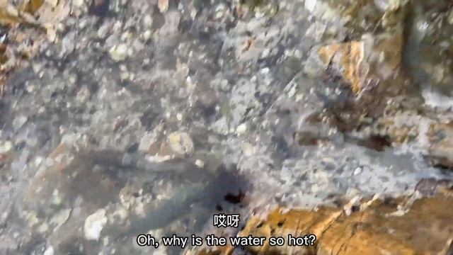 牛牛趁天黑前來趕海，抓了大黃魚大蝦滿滿一桶，太過癮了【牛牛趕海海鮮】 смотреть онлайн