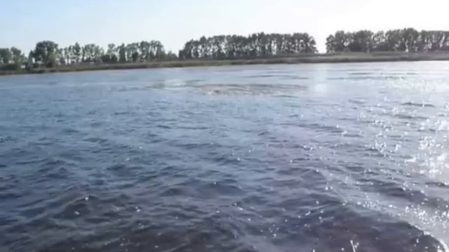 Рыбалка в Краснодарском крае на реке Ея смотреть онлайн