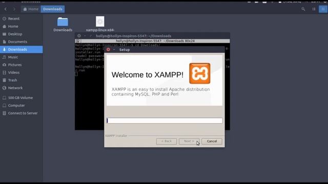 Install a web server (XAMPP) on linux смотреть онлайн
