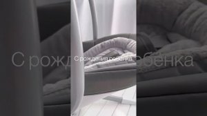 Сборка стульчика 3 в 1 Mylittlechair Infant