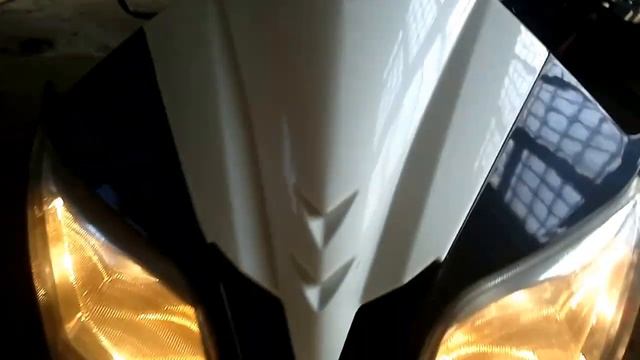 Leike Hornet