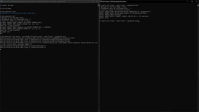 Dolt - Users and Privileges Overview смотреть онлайн