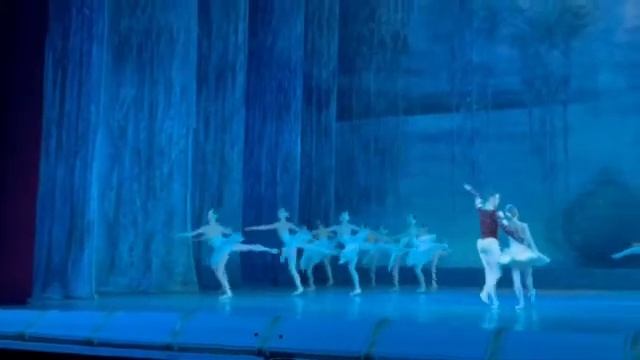 лебединое озеро кияночка 2021 2 смотреть онлайн