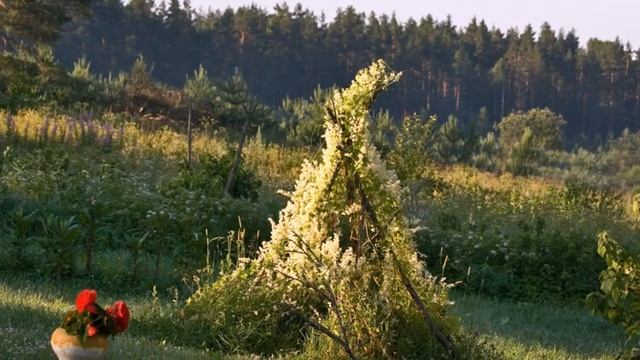 НЕ ПАХНЕТ ДОМ РОДИМЫЙ ПИРОГАМИ смотреть онлайн