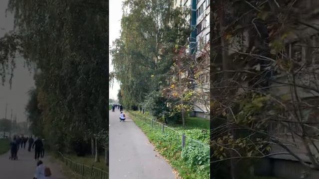 РОДНАЯ УЛИЦА МОЯ. Золотая Осень в Санкт-Петербурге. смотреть онлайн