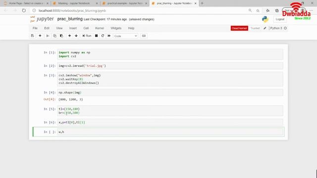 Learn how to do custom blurring in opencv | Opencv Tutorial смотреть онлайн
