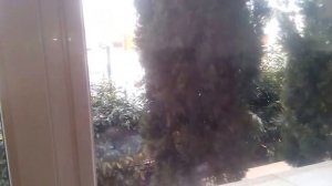 Энергосберегающая пленка на окна "ТЕПЛОДОМ"