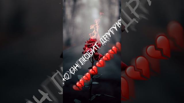 но он любит другую💔💔💔💔 смотреть онлайн