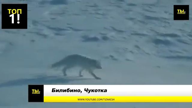 Самый дорогой город страны смотреть онлайн