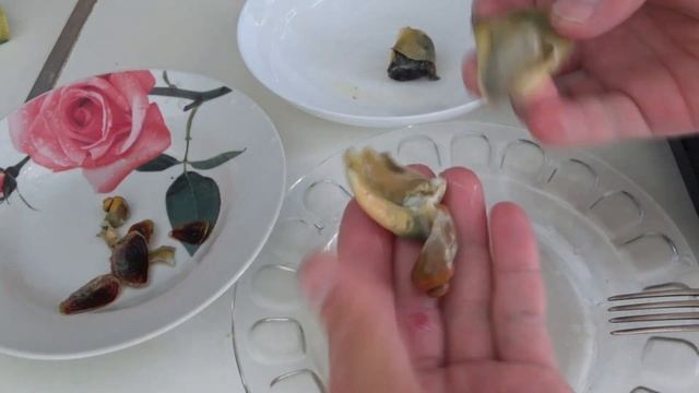 Как чистить, варить и мариновать РАПАНЫ? ВСЕ СЕКРЕТЫ НЕЖНОГО МЯСА РАПАНА