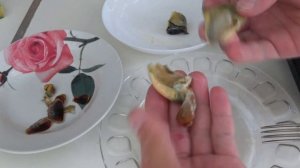 Как чистить, варить и мариновать РАПАНЫ? ВСЕ СЕКРЕТЫ НЕЖНОГО МЯСА РАПАНА