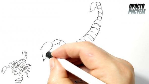 Как нарисовать СКОРПИОНА ручкой