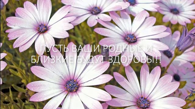 Я ЖЕЛАЮ СЧАСТЬЯ ВАМ!!! смотреть онлайн