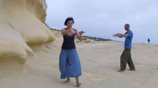 Qi Gong Shibashi Die 18 Figuren/ Übungen Der Harmonie 18 Movements