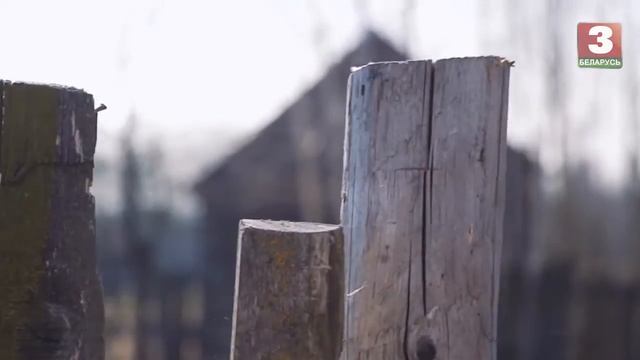 Ганчарныя вырабы майстроў Бабруйскага раёна смотреть онлайн