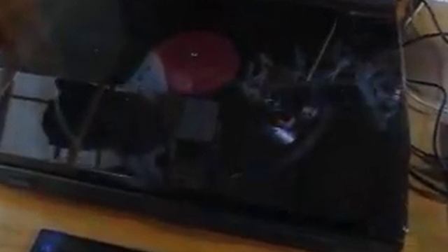 sony ps-lx300usb2 смотреть онлайн