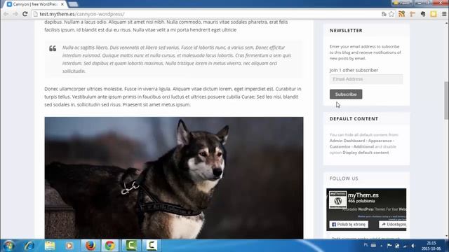 Cannyon, free and responsive WordPress Theme (overview) смотреть онлайн