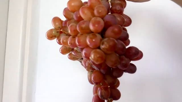 Виноград розовый. Без косточек. смотреть онлайн