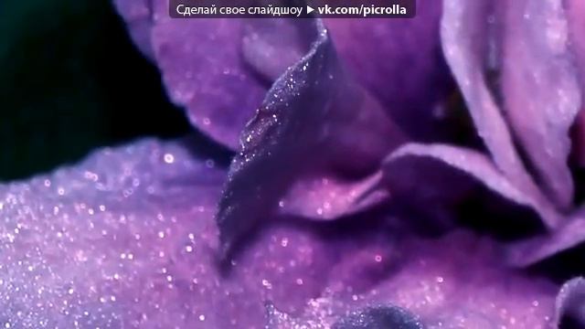 Фиалки смотреть онлайн