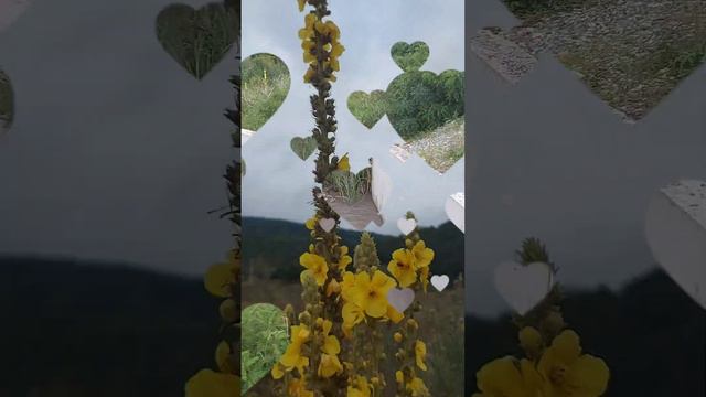 База отдыха 