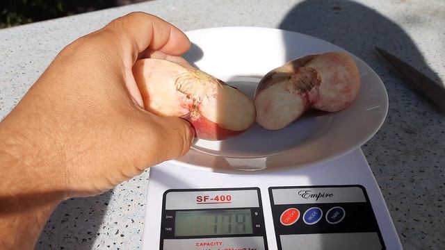 Пинк Ринг, Сатурн и не много Концентины. смотреть онлайн