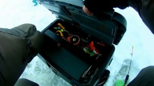 ДОНКИ НА СУДАКА! ЛОВЛЯ СУДАКА НА ТЮЛЬКУ! р.ВОЛГА.