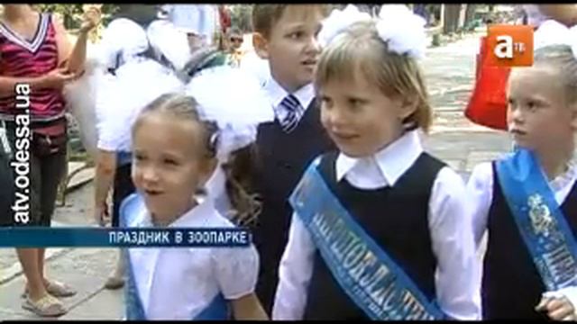 Одесский зоопарк подарил праздник первоклашкам смотреть онлайн