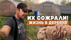 ЭТО ЕЩЕ НЕ КОНЕЦ ! ФИНИШНАЯ ПРЯМАЯ !  [Жизнь в деревне]
