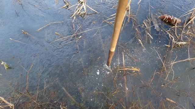 Тест льда 2022! 🎣Зимняя рыбалка скоро! смотреть онлайн