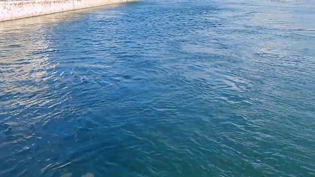 Эвбия. Пролив Эврип меняет направление течения смотреть онлайн