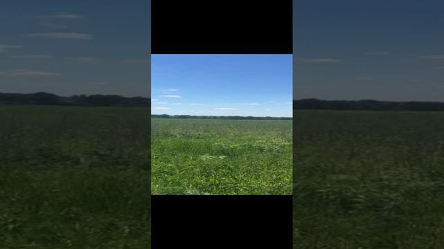 Участок _ Шевлякова.mp4 смотреть онлайн
