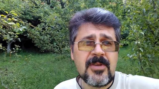 Как купить топовый продукт бесплатно смотреть онлайн