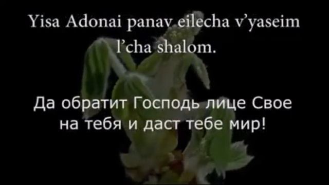 БЛАГОСЛОВЕНИЕ БИБЛИЯ. КН ЧИСЕЛ 6 24 27 смотреть онлайн