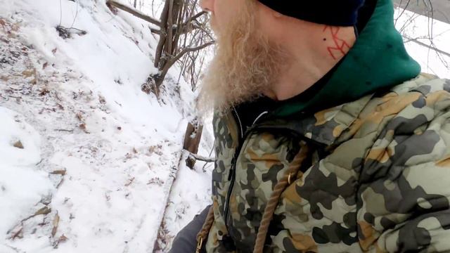 GIANT Puppy Kratos at Off Leash Park - 4 Month Old Lycan Shepherd смотреть онлайн