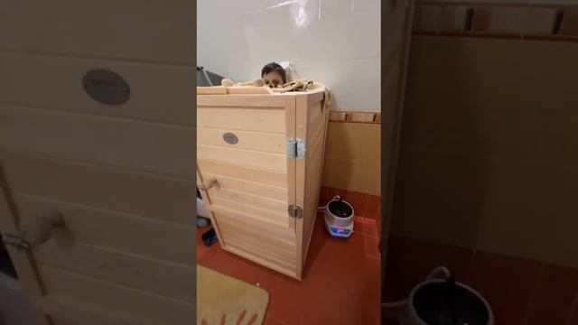 Мини-сауна "Altwood" для квартиры в ванную комнату | Отзыв покупателя смотреть онлайн