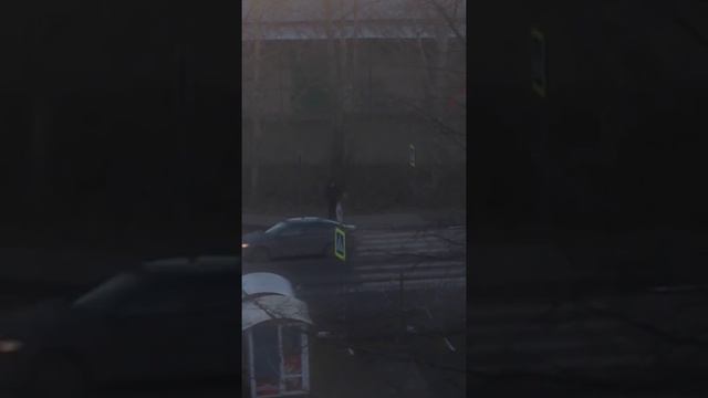 Куда смотрит полиция? смотреть онлайн