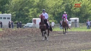 Конные скачки на Всероссийском сельском Сабантуе.
