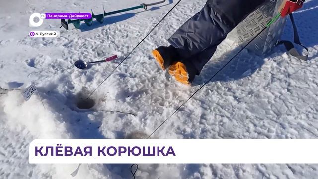 Ежегодный фестиваль "Клевая корюшка" состоялся в ледовой акватории бухты Полонка на Русском смотреть онлайн