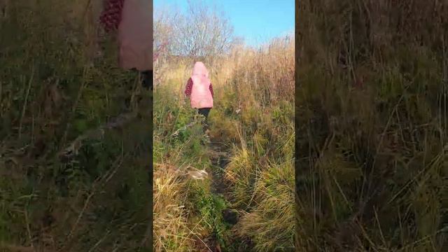 СОЛНЦЕ-БАРАБАН смотреть онлайн