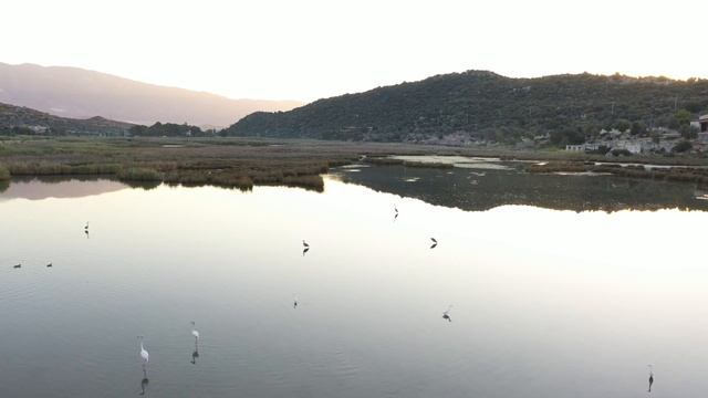 #3 ПРО КРАСОТУ ПРИРОДЫ, фламинго, ликийские гробницы и амфитеатр в Демре| ДИКИЙ РАУ Ликийская тропа смотреть онлайн